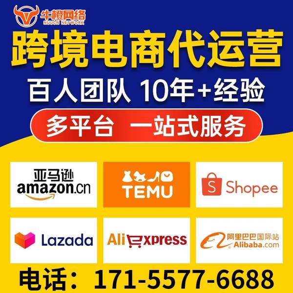 崇左电商代运营
