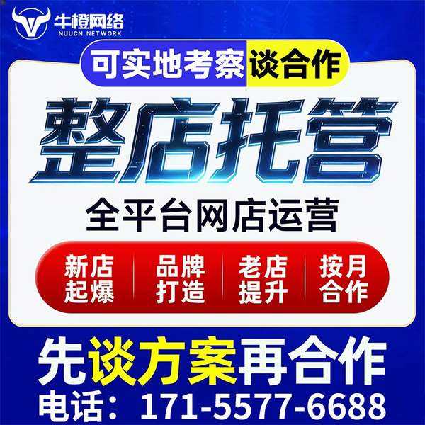 崇左电商代运营
