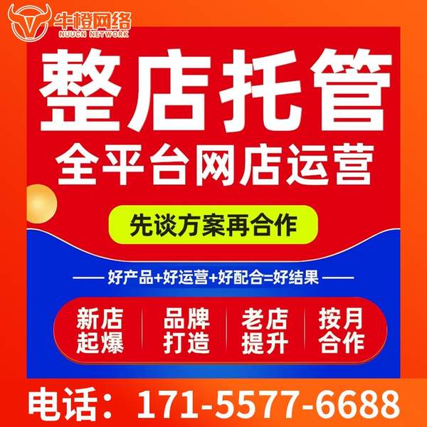 崇左电商代运营