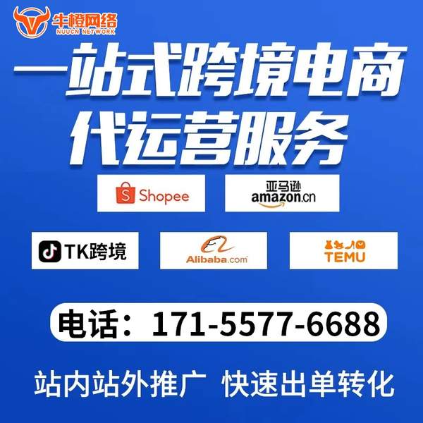 崇左电商代运营