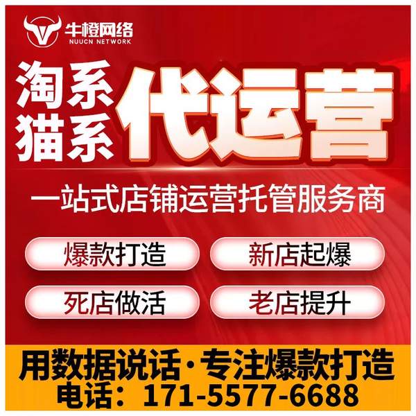 崇左电商代运营